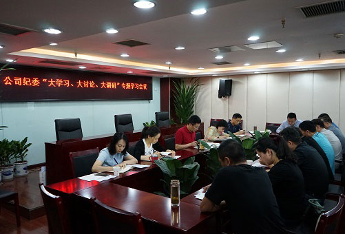 以“大學(xué)習(xí)、大討論、大調(diào)研”為動(dòng)力推動(dòng)公司紀(jì)檢監(jiān)察工作扎實(shí)開展