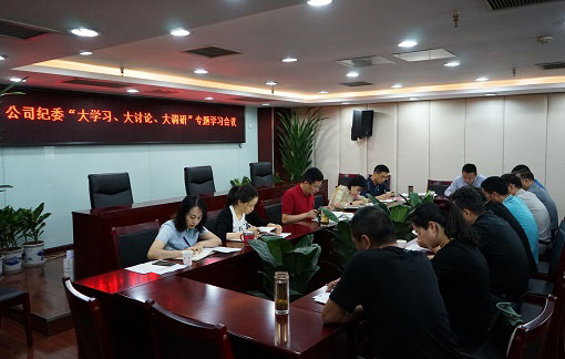 以“大學(xué)習(xí)、大討論、大調(diào)研”為動(dòng)力推動(dòng)公司紀(jì)檢監(jiān)察工作扎實(shí)開(kāi)展