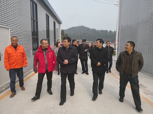 集團公司黨委副書記鄒蔚赴公司路面分公司承建成資渝高速TJ6項目調(diào)研指導工作